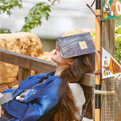好莱坞芭比电影版